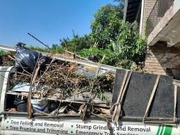 Best Retail Junk Removal  in Romeovle, IL